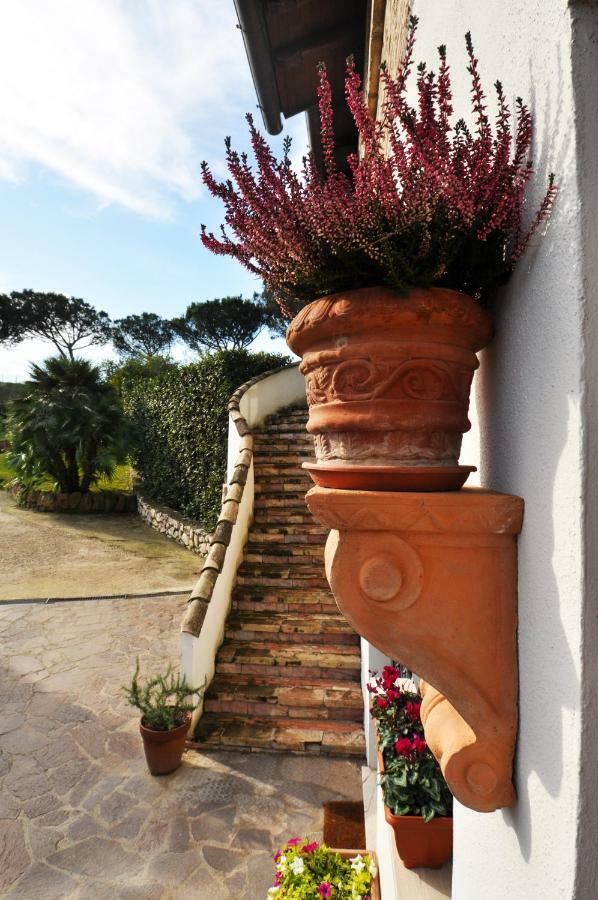 Pepe Guest House โรม ภายนอก รูปภาพ